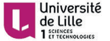 universite-lille